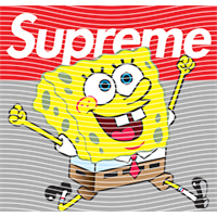 Brand Catalog-ZX 1008